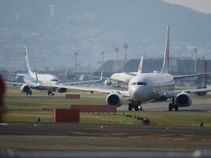 千里川土手からの伊丹空港の眺め