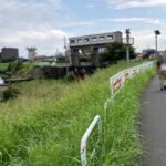 参加レポート：第１８回　川口ツーデーマーチ