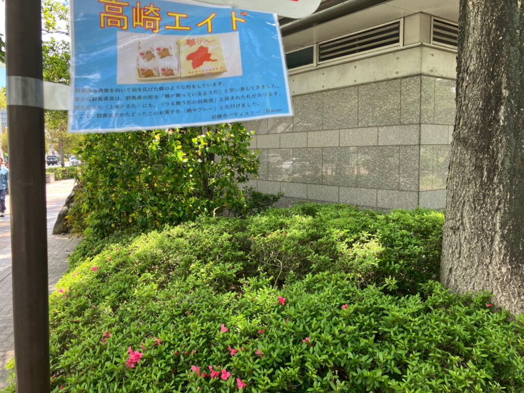 高崎エイドでいただいた「鶴サブレ」