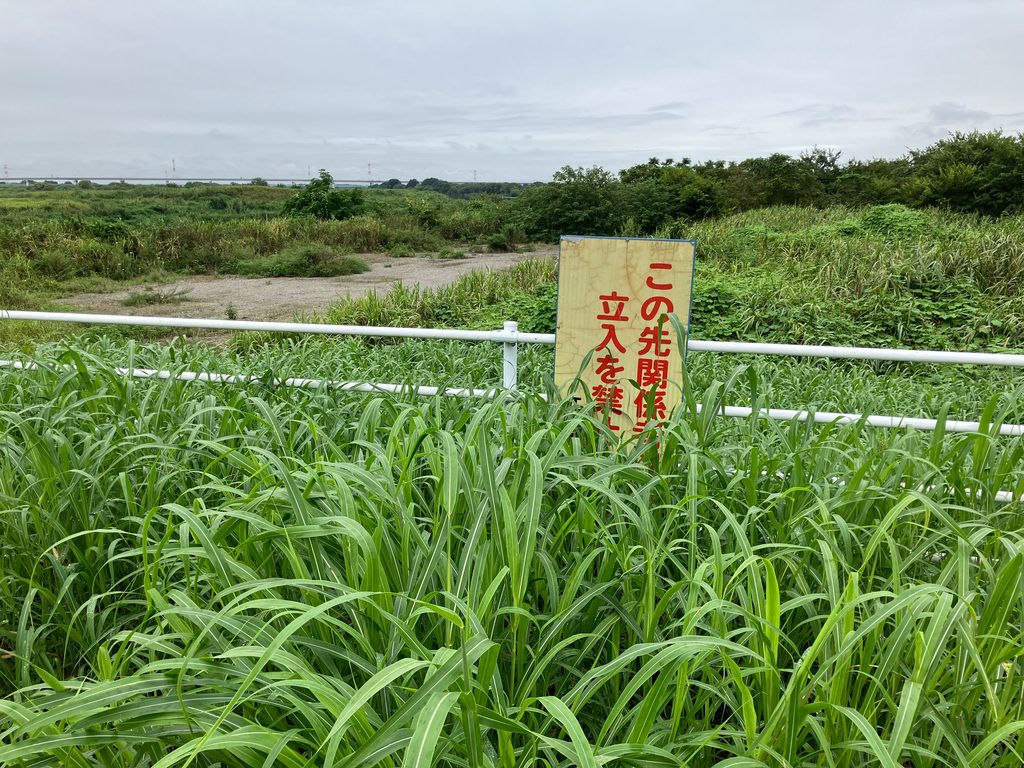 利根川から分かれてすぐの場所にある江戸川の関宿水閘門
