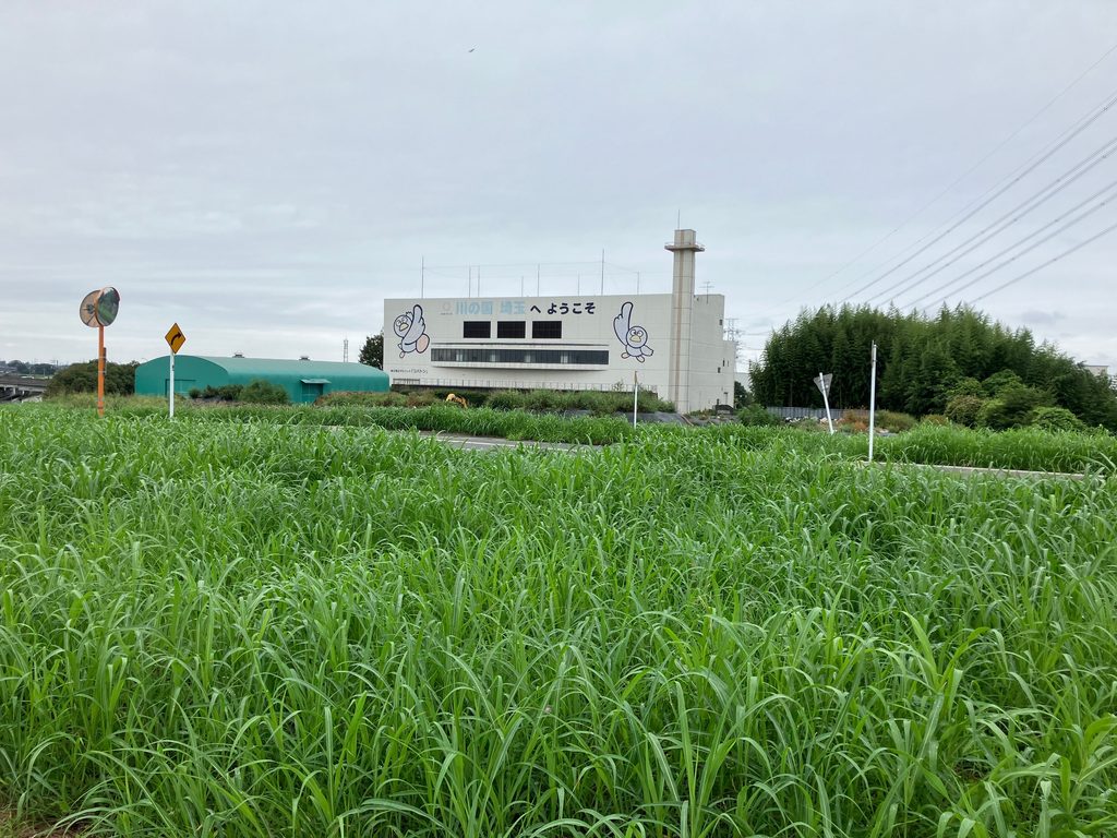 関宿橋右岸側にある幸手樋管の建物と埼玉県のシンボル「コバトン」