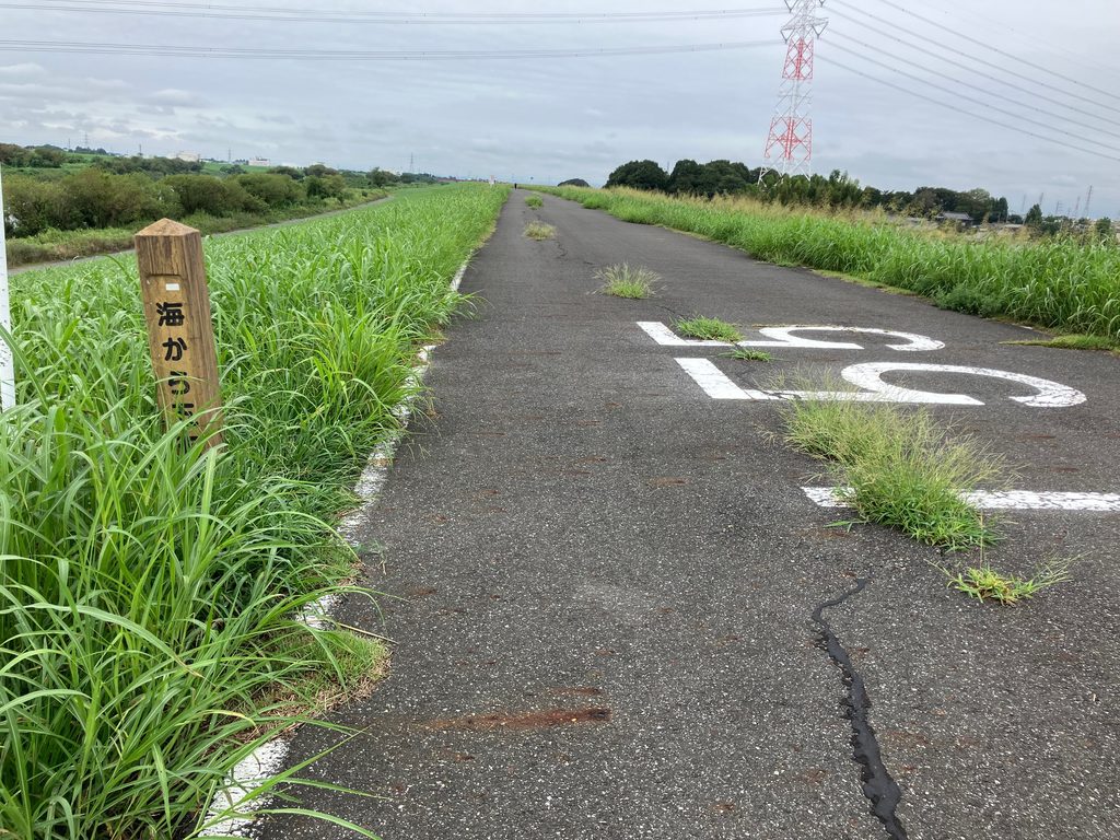 江戸川の土手に5kmごとに設置された「海からの距離」標識と路面のL55ペイント