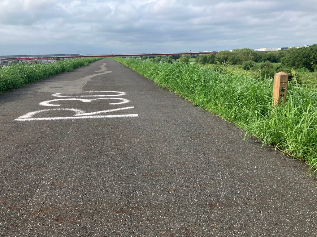 海から30km地点から見た常磐自動車道（三郷〜流山間）