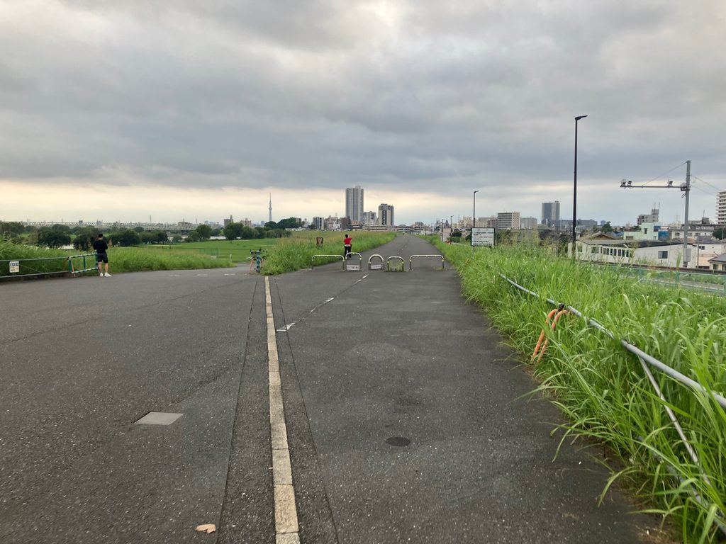 葛飾橋を過ぎた江戸川右岸の東京都側から見えるスカイツリー